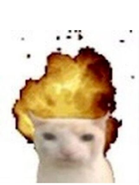 Кот взрывается