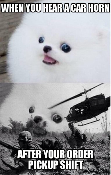 Собака флешбеки Вьетнам