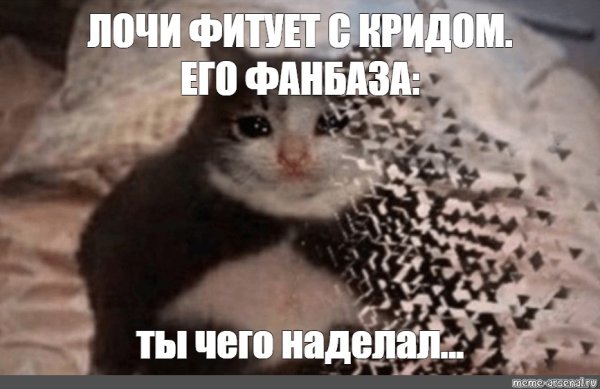 Ты чего наделал Мем с котом