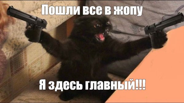 Кот стреляет из автомата