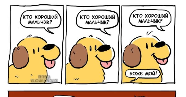 Кто хороший мальчик собака
