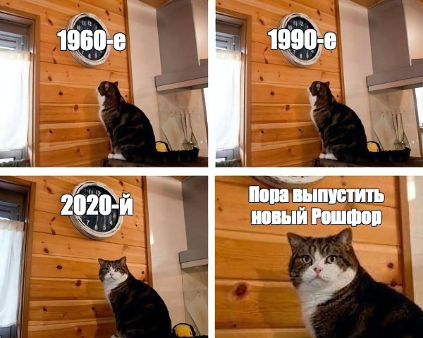 Мемы с котом
