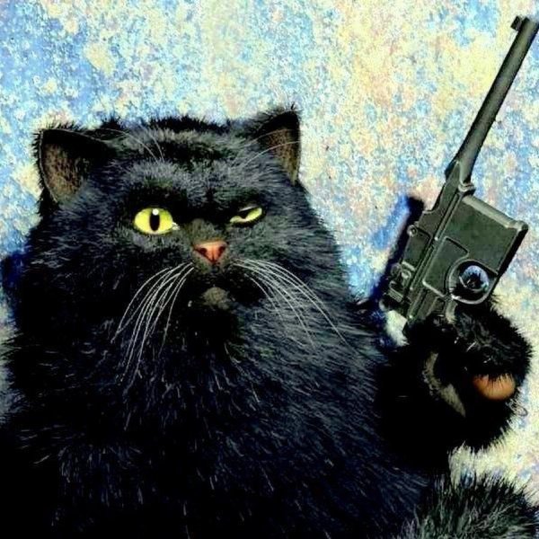 Котик с оружием