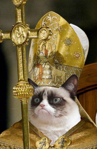 Святой кот