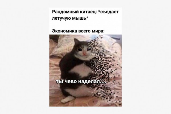 Ты чего наделал Мем с котом
