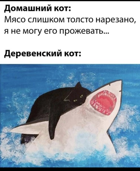 Кот в акуле и другие мемы