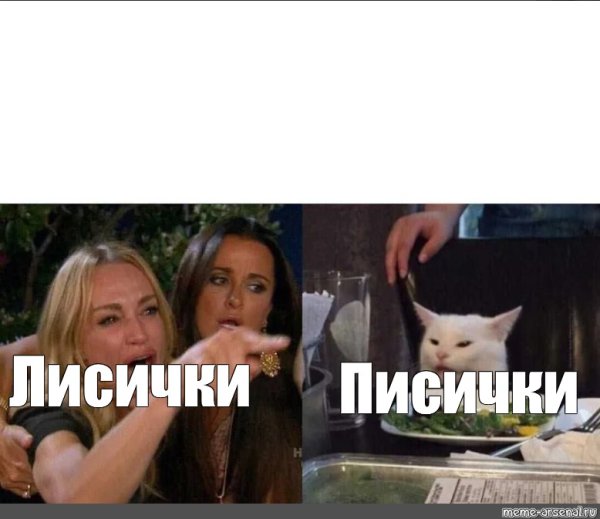 Мем с котом и девушками