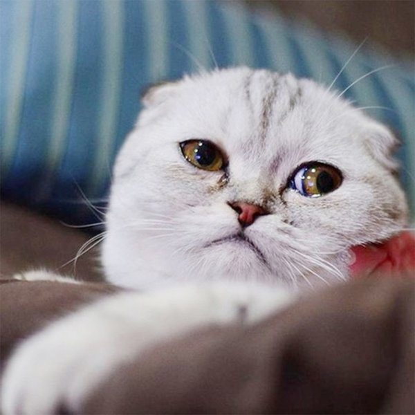 Ну да спокойной ночи мне желать не надо