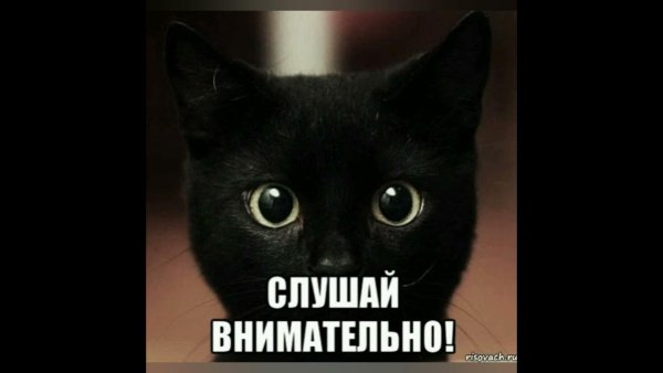 Слушайте внимательно