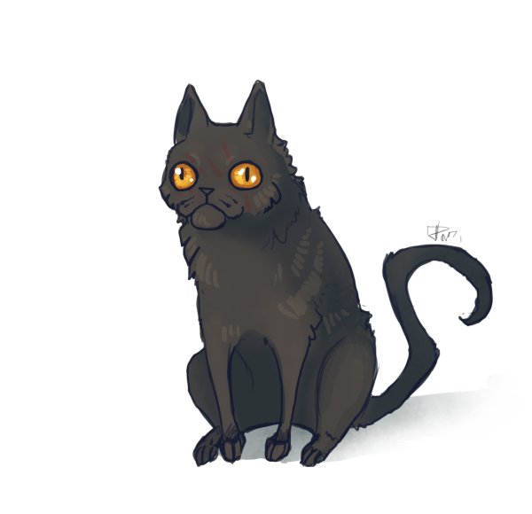 Кот арты Мем