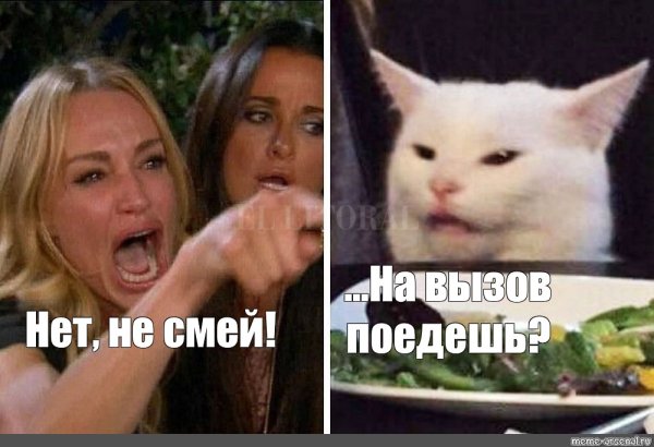 Мем кот и две девушки