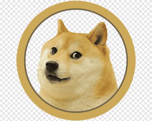 Шиба ину и Dogecoin
