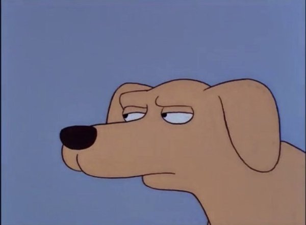 Подозревающая собака