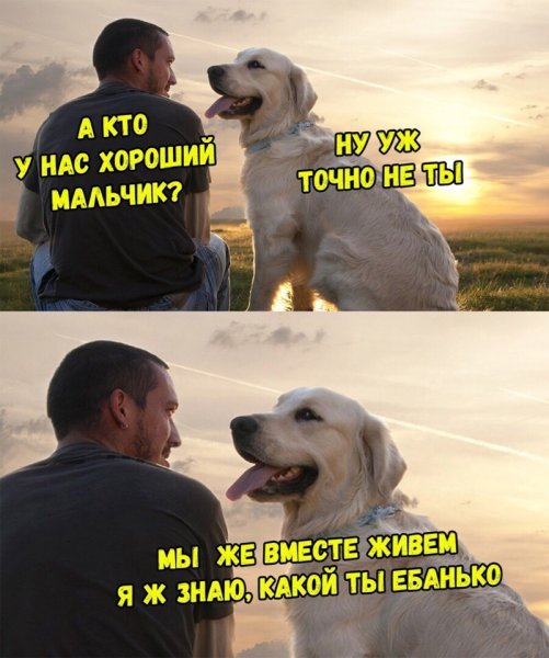 Хороший мальчик пес