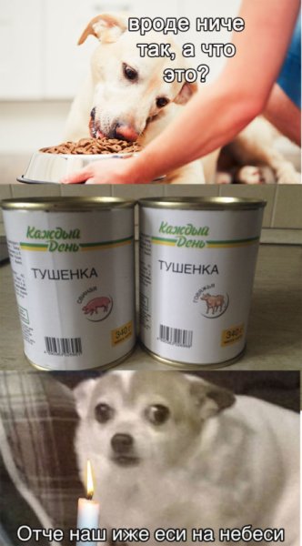 Интересные факты с юмором