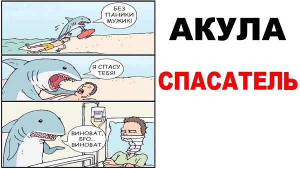 Акула прикол