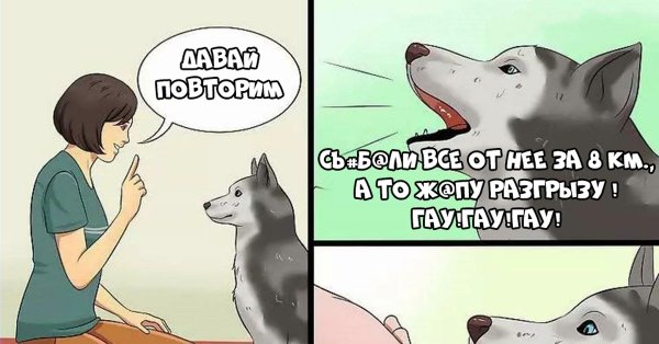 Хороший мальчик пес