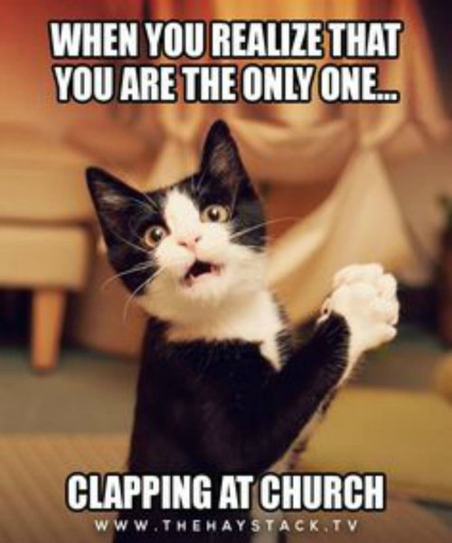 Кот священник