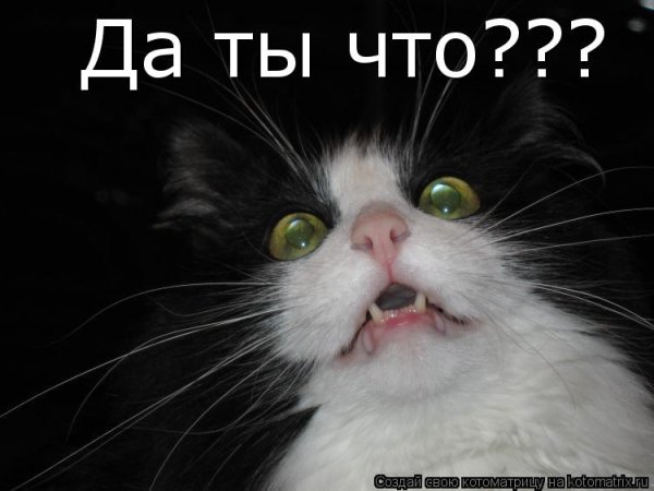 Ой боюсь боюсь