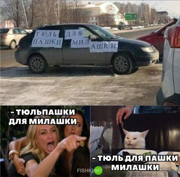 Мемы с котом и девушками