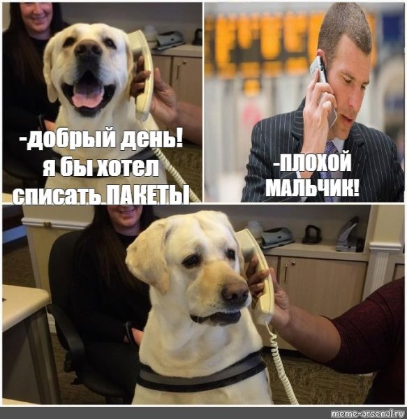 Кто хороший мальчик