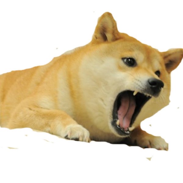 Злой Doge
