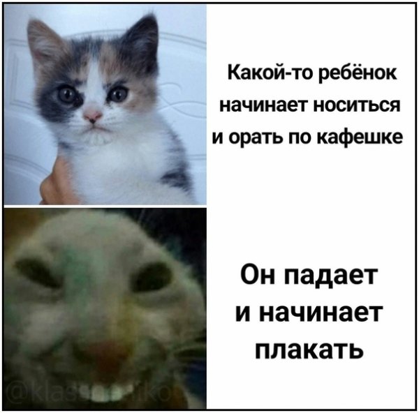 Кот с человеческими зубами Мем