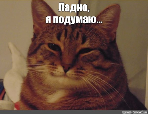 Кот улыбается Мем