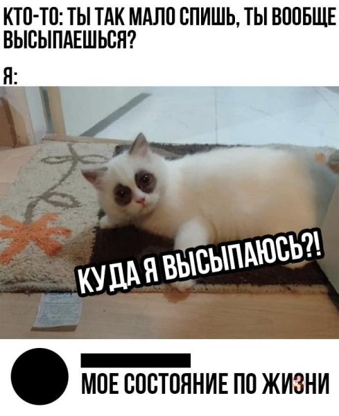 Куда высыпаюсь кот