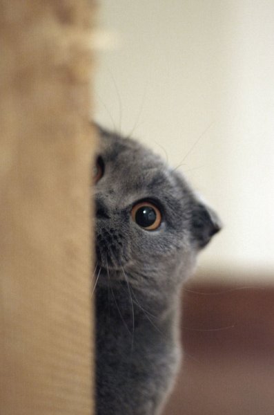 Чем занимаешься картинки