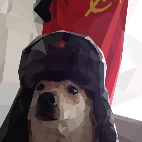 Собака в шапке ушанке