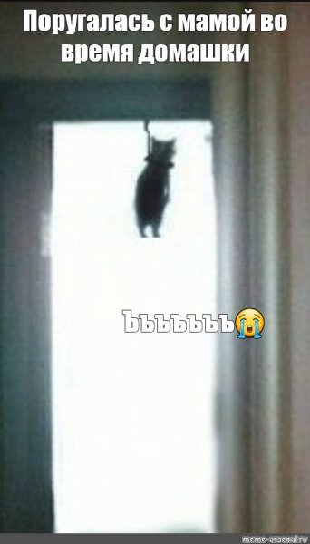 Котенок повесился Мем