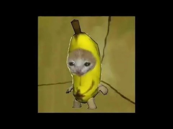 Кот в костюме банана