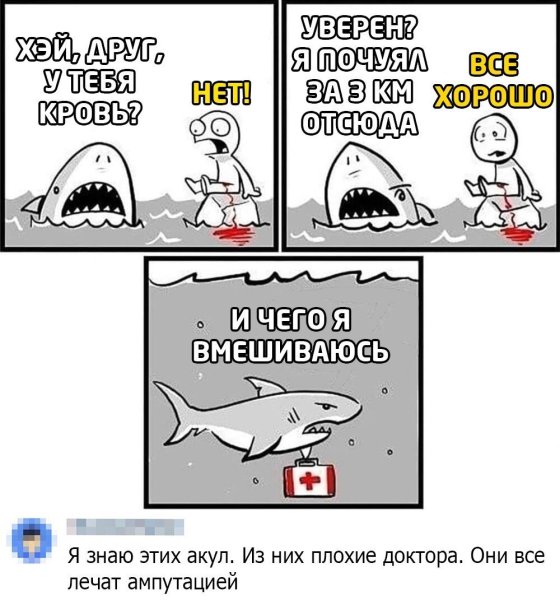 Шутки про акул