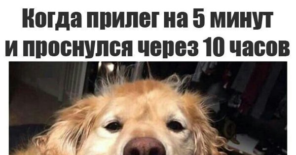 Проспал Мем