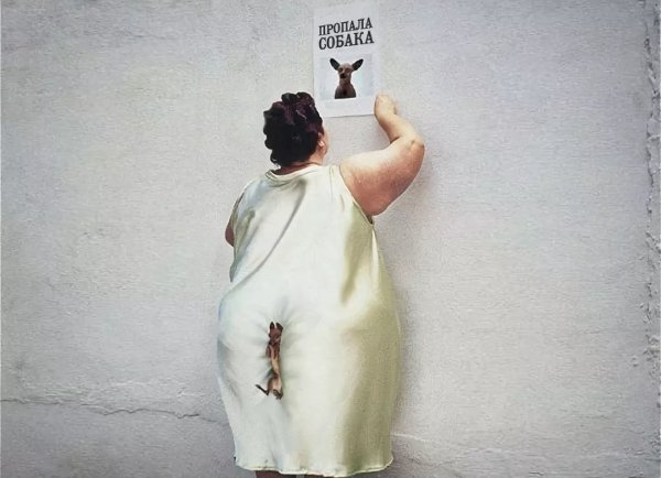 Потерялась собака юмор