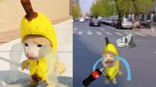 Кот в банане ава