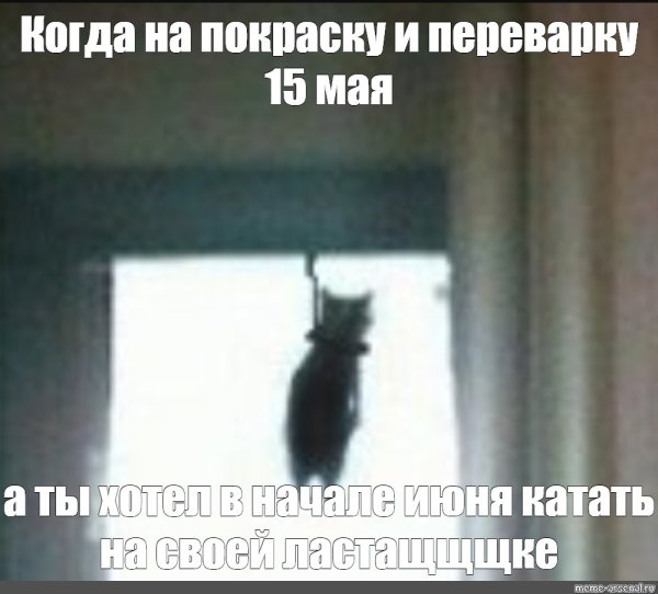 Мем кот повесился в дверном