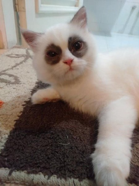 Ты высыпаешься куда высыпаюсь