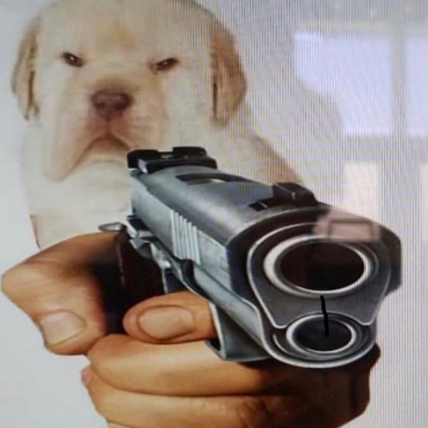 Пес с пистолетом