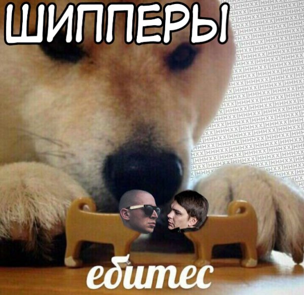 Мем две собаки ебитес