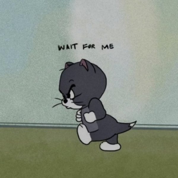 Котенок из том и Джерри