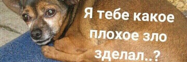 Какое плохое зло сделал