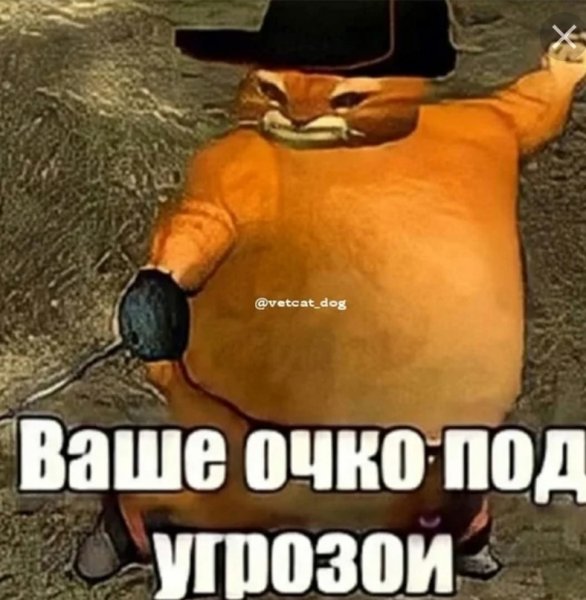 Толстый кот в сапогах Мем