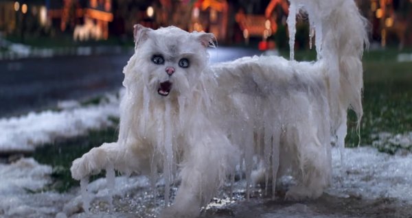 Собака в сосульках