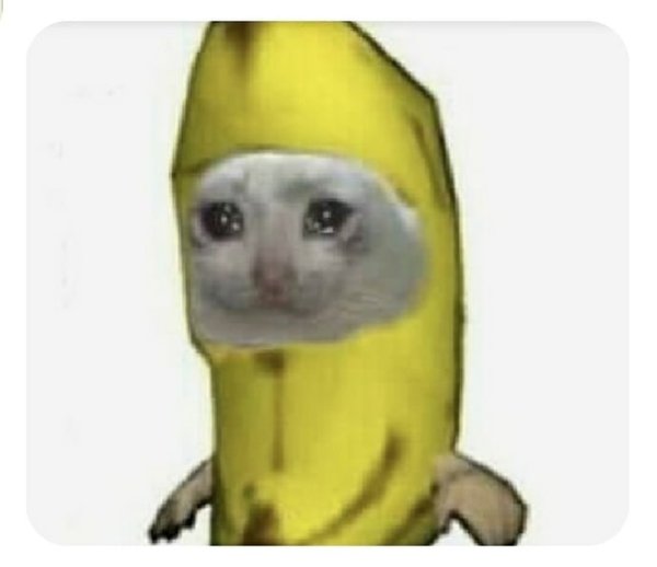 Котик в костюме банана