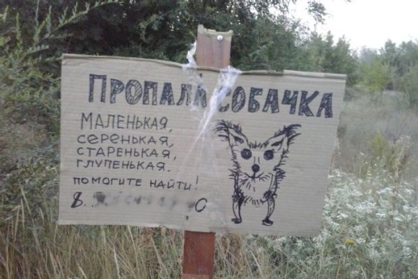 Смешные объявления о пропаже животных
