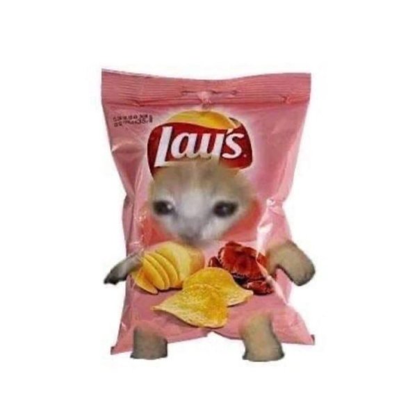 Коты фрукты