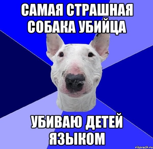Самый страшный пес Мем