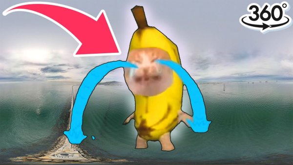 Кот банан плачет